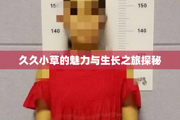 久久小草的魅力与生长之旅探秘