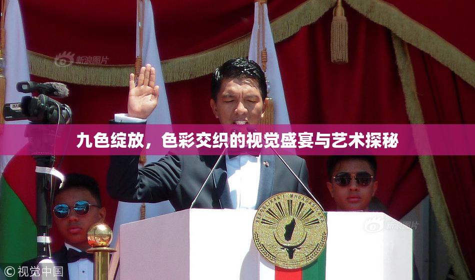 九色绽放，色彩交织的视觉盛宴与艺术探秘