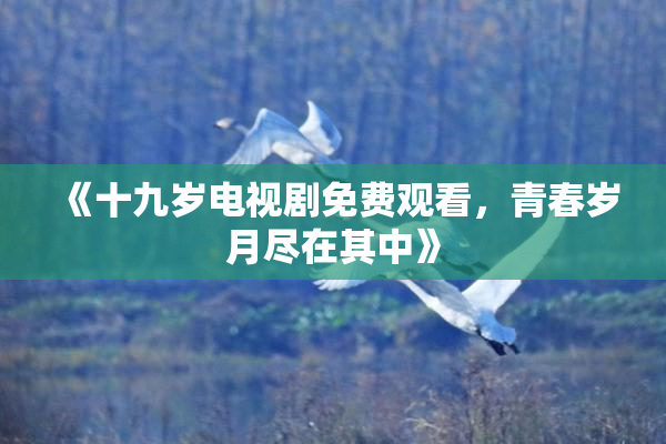 《十九岁电视剧免费观看，青春岁月尽在其中》