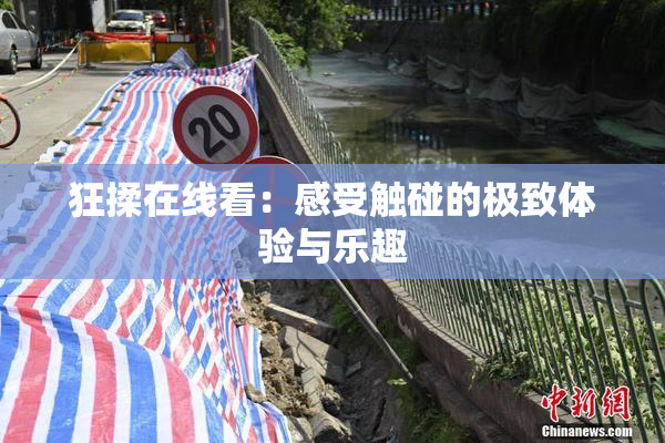 狂揉在线看：感受触碰的极致体验与乐趣