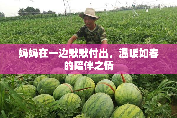妈妈在一边默默付出，温暖如春的陪伴之情