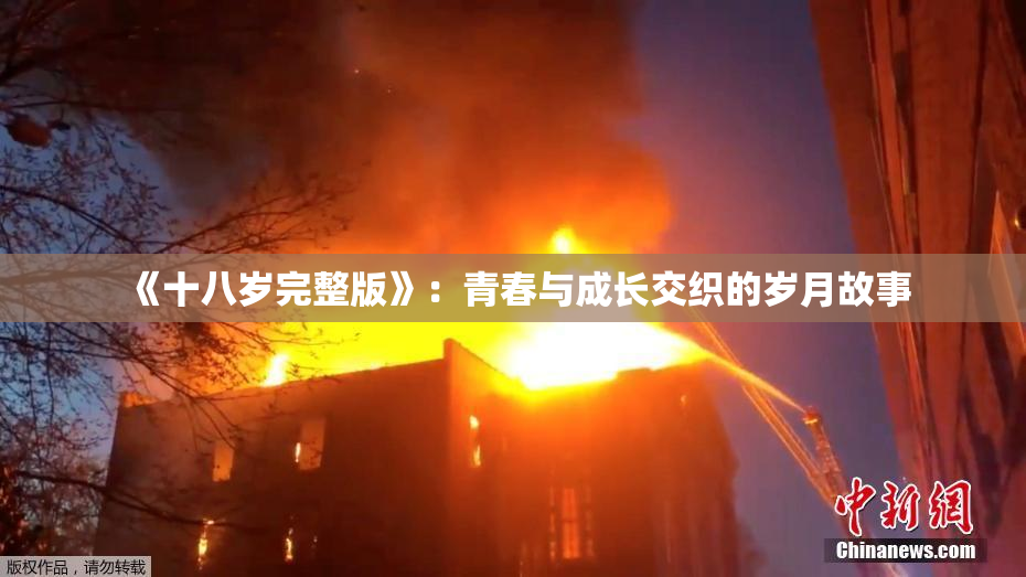 《十八岁完整版》：青春与成长交织的岁月故事