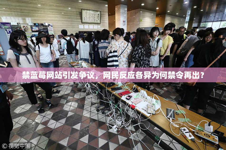 禁蓝莓网站引发争议，网民反应各异为何禁令再出？