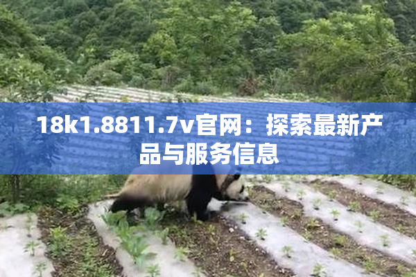 18k1.8811.7v官网：探索最新产品与服务信息