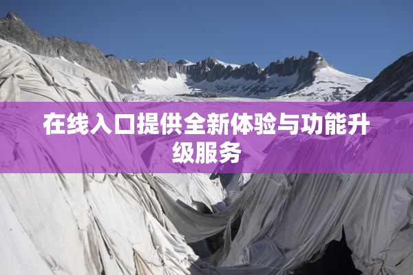 在线入口提供全新体验与功能升级服务