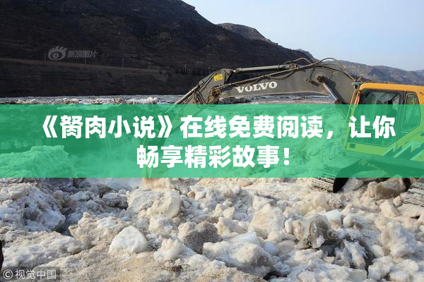 《胬肉小说》在线免费阅读，让你畅享精彩故事！