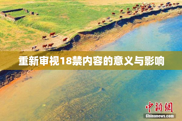 重新审视18禁内容的意义与影响