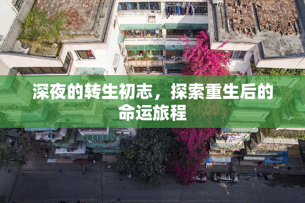 深夜的转生初志，探索重生后的命运旅程
