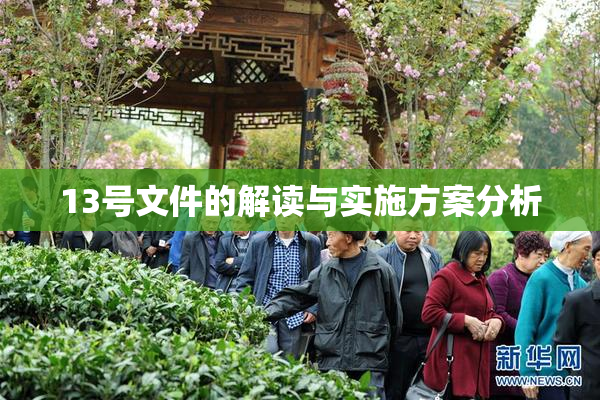 13号文件的解读与实施方案分析