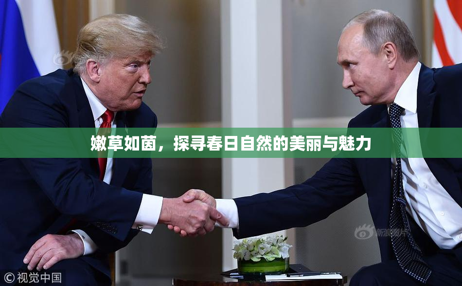 嫩草如茵，探寻春日自然的美丽与魅力