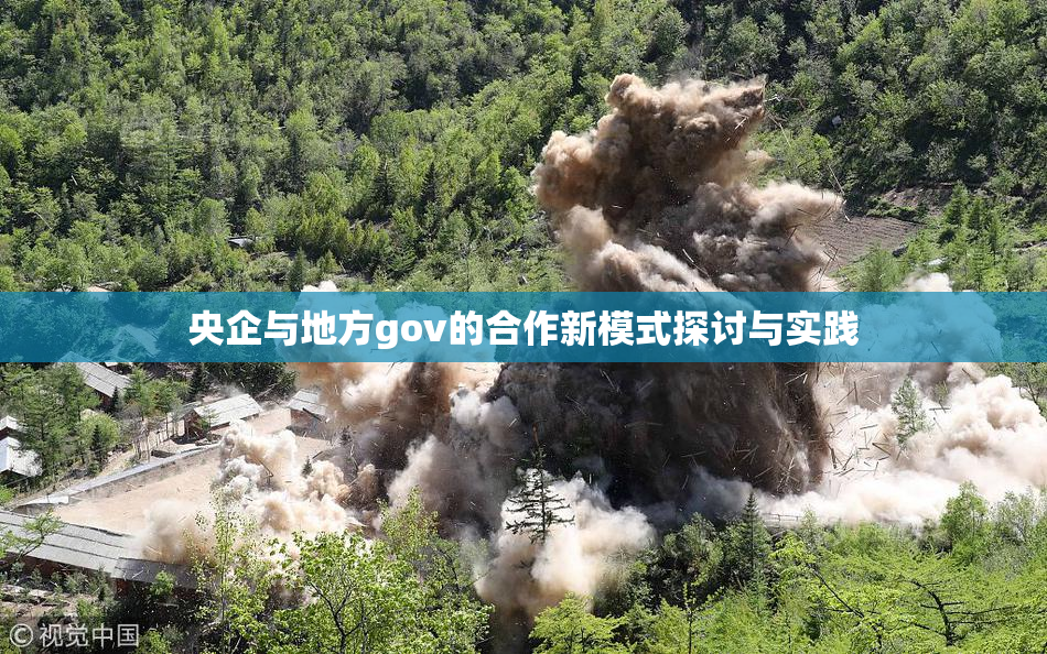央企与地方gov的合作新模式探讨与实践