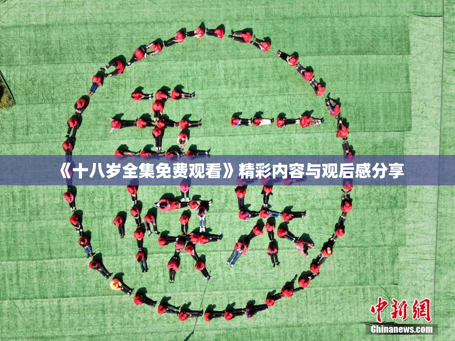 《十八岁全集免费观看》精彩内容与观后感分享