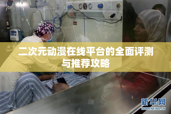 二次元动漫在线平台的全面评测与推荐攻略