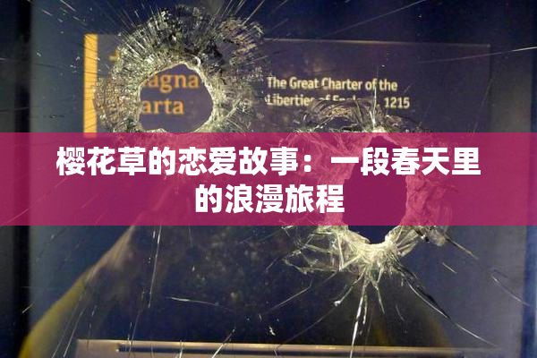 樱花草的恋爱故事：一段春天里的浪漫旅程