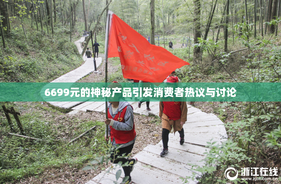 6699元的神秘产品引发消费者热议与讨论