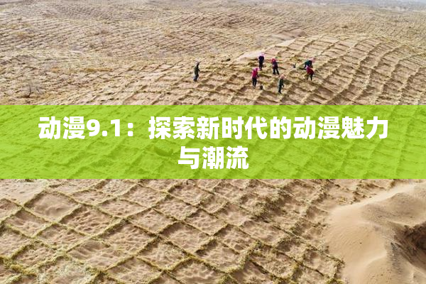 动漫9.1：探索新时代的动漫魅力与潮流