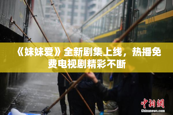 《妹妹爱》全新剧集上线，热播免费电视剧精彩不断