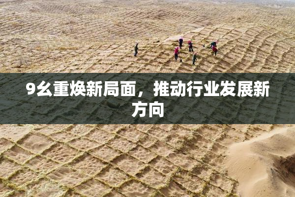 9幺重焕新局面，推动行业发展新方向