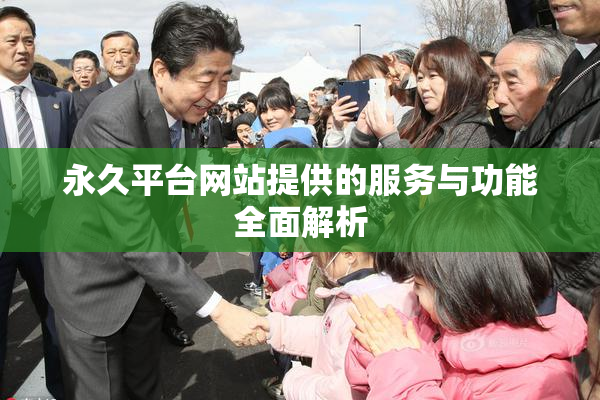 永久平台网站提供的服务与功能全面解析