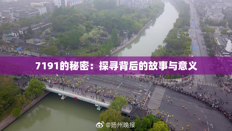 7191的秘密：探寻背后的故事与意义