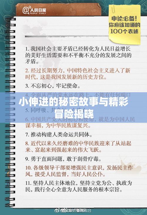 小伸进的秘密故事与精彩冒险揭晓