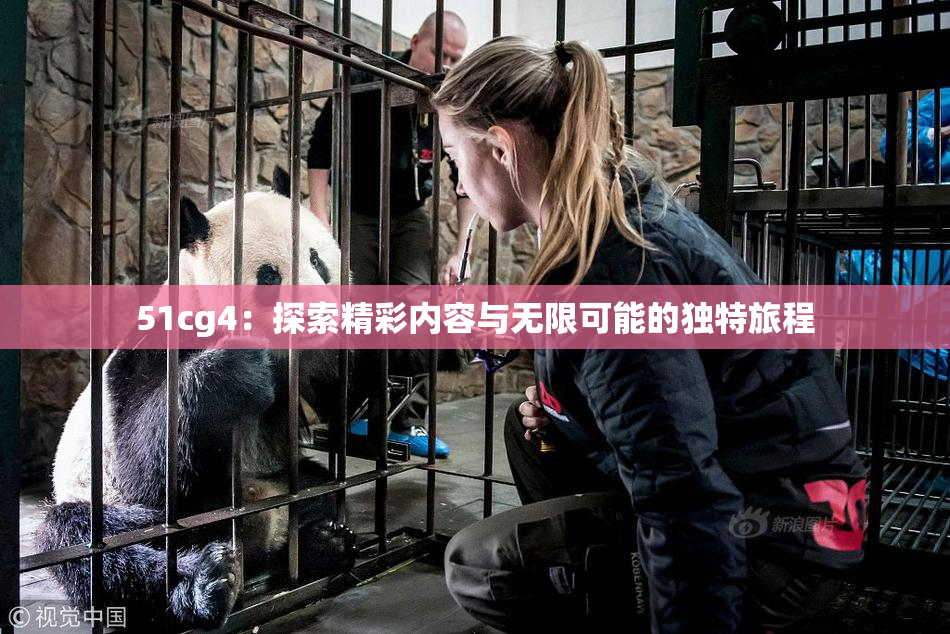51cg4：探索精彩内容与无限可能的独特旅程