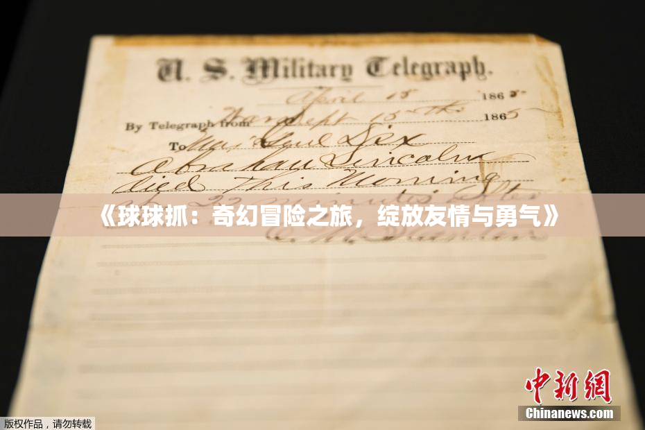 《球球抓：奇幻冒险之旅，绽放友情与勇气》