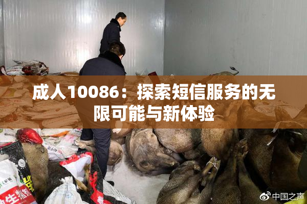 成人10086：探索短信服务的无限可能与新体验