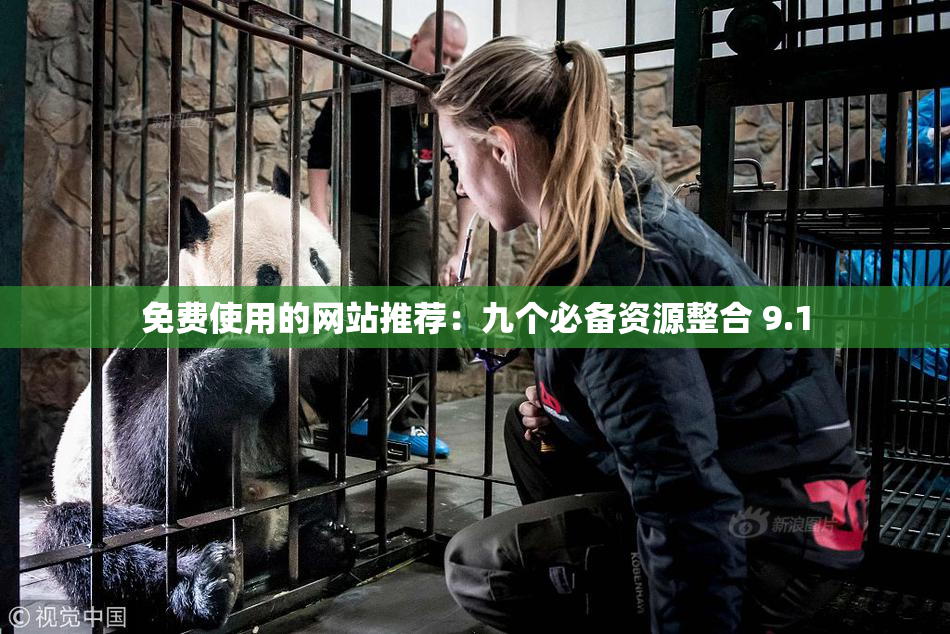 免费使用的网站推荐：九个必备资源整合 9.1