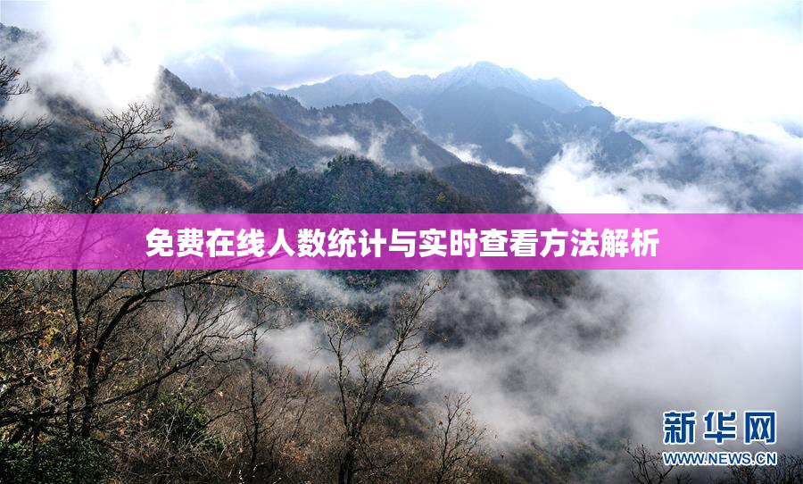 免费在线人数统计与实时查看方法解析