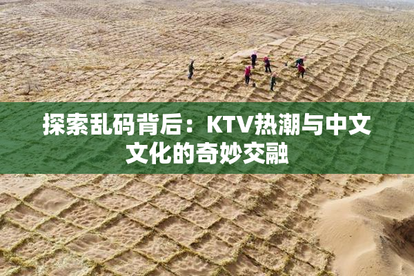 探索乱码背后：KTV热潮与中文文化的奇妙交融
