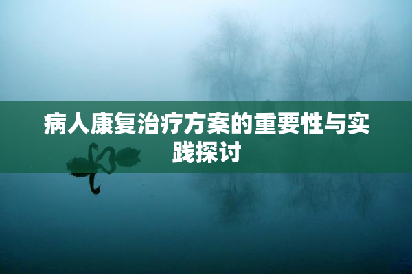 病人康复治疗方案的重要性与实践探讨