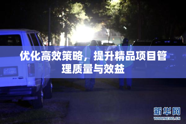 优化高效策略，提升精品项目管理质量与效益