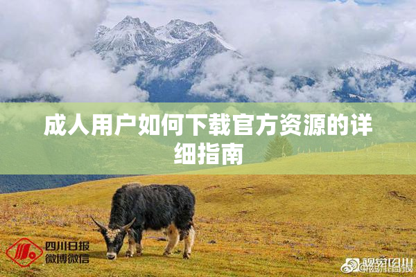 成人用户如何下载官方资源的详细指南