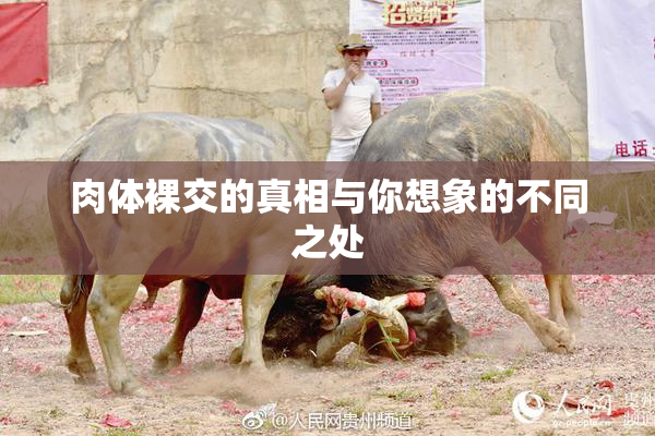 肉体裸交的真相与你想象的不同之处
