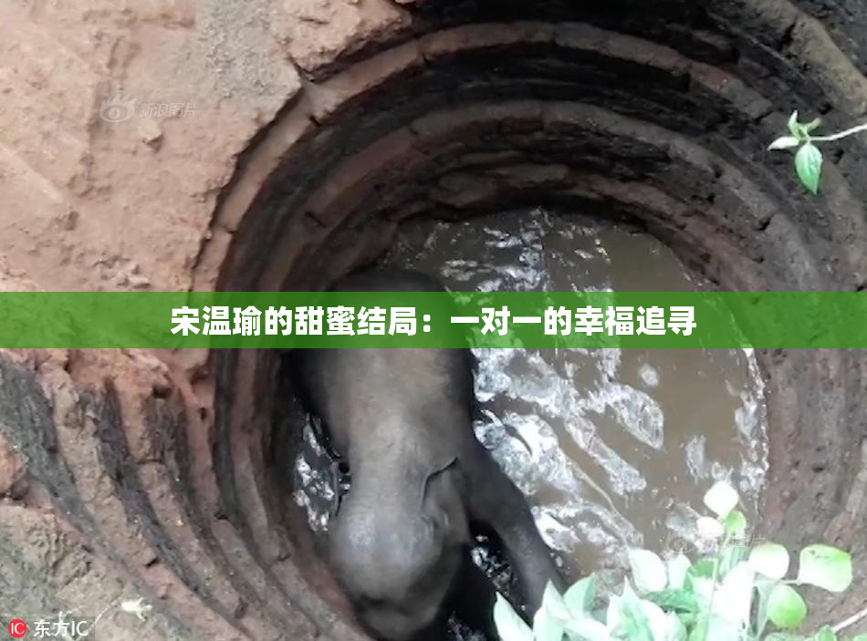 宋温瑜的甜蜜结局：一对一的幸福追寻