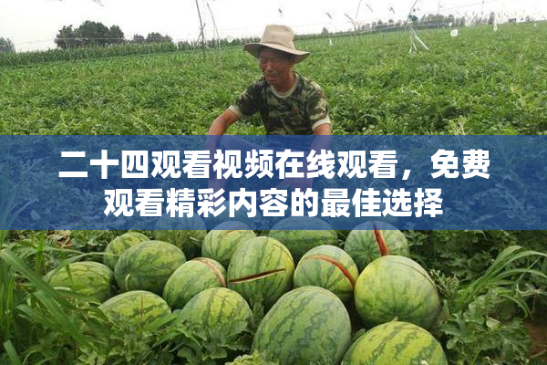 二十四观看视频在线观看，免费观看精彩内容的最佳选择
