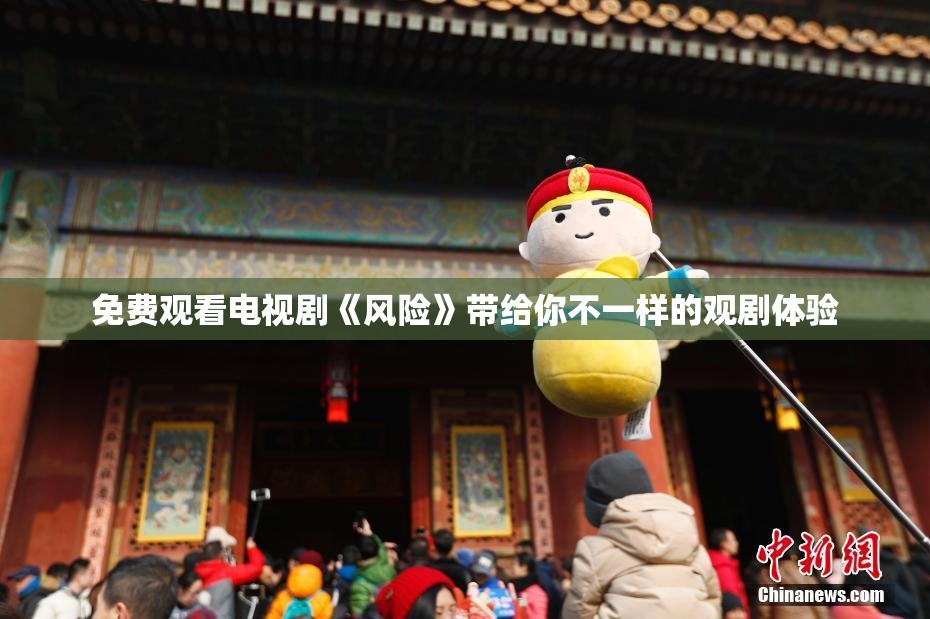 免费观看电视剧《风险》带给你不一样的观剧体验