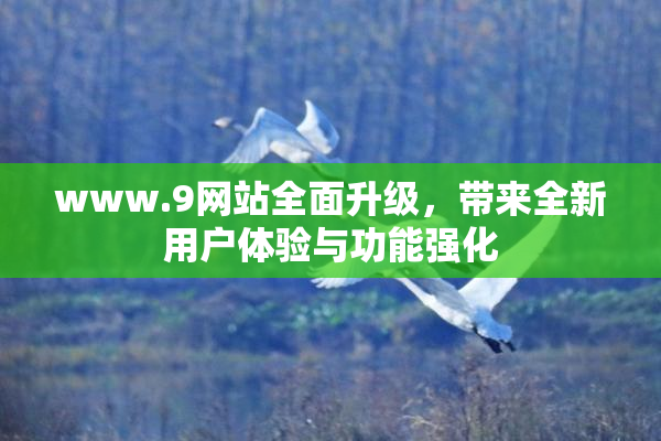 www.9网站全面升级，带来全新用户体验与功能强化