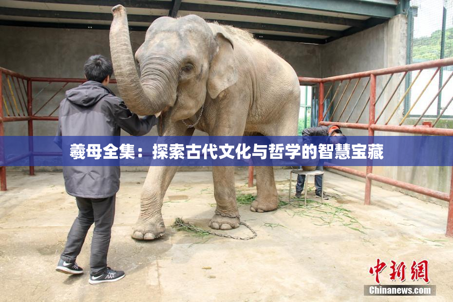 羲母全集：探索古代文化与哲学的智慧宝藏