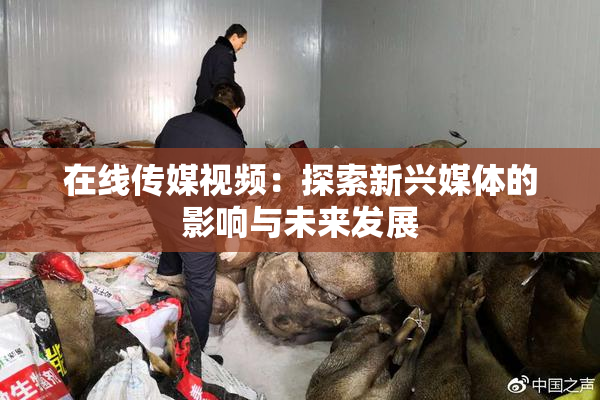 在线传媒视频：探索新兴媒体的影响与未来发展