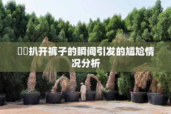 妺妺扒开裤子的瞬间引发的尴尬情况分析