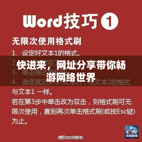 快进来，网址分享带你畅游网络世界