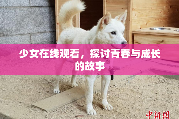 少女在线观看，探讨青春与成长的故事