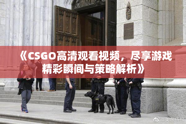《CSGO高清观看视频，尽享游戏精彩瞬间与策略解析》