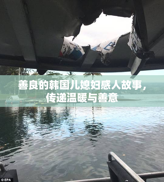 善良的韩国儿媳妇感人故事，传递温暖与善意