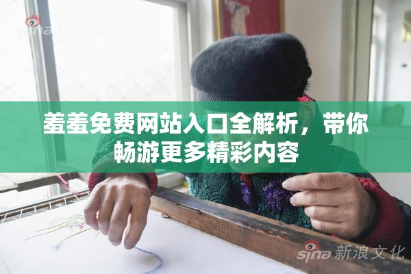 羞羞免费网站入口全解析，带你畅游更多精彩内容