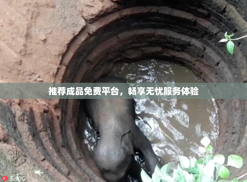 推荐成品免费平台，畅享无忧服务体验