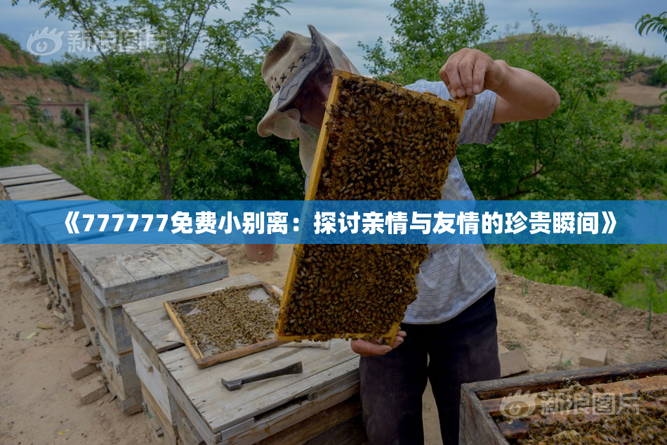 《777777免费小别离：探讨亲情与友情的珍贵瞬间》