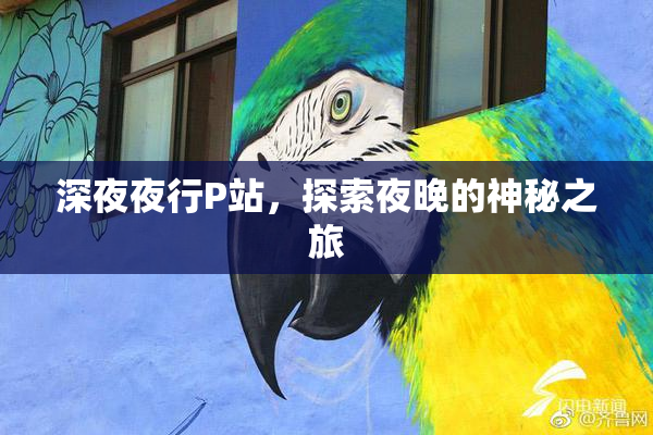 深夜夜行P站，探索夜晚的神秘之旅